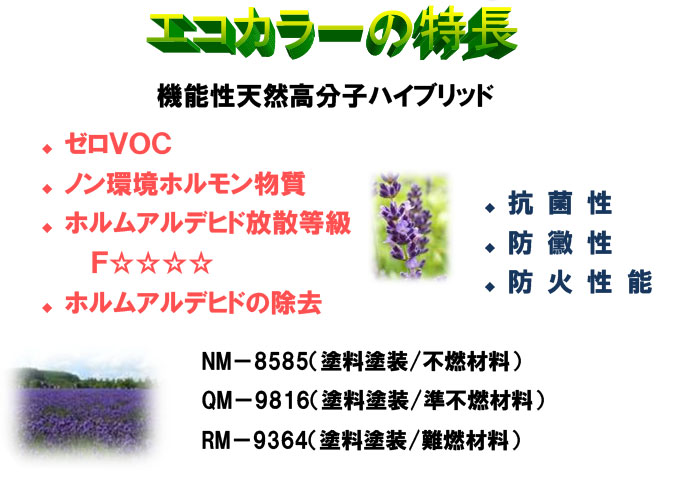 エコカラーの特徴