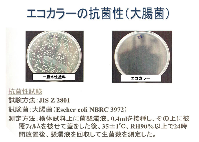 エコカラーの抗菌性8大腸菌）